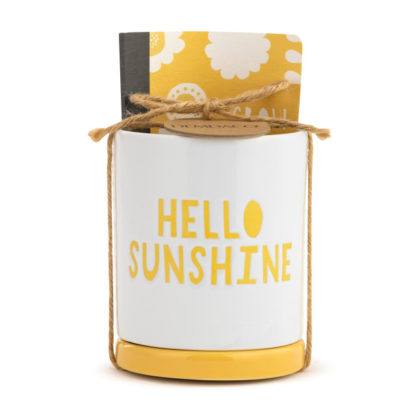 Demdaco Hello Sunshine Planter with Journal Gift Set