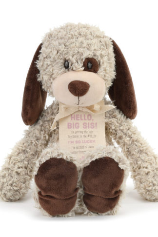 Gift from the New Kid: Big Sister Plush Puppy Demdaco