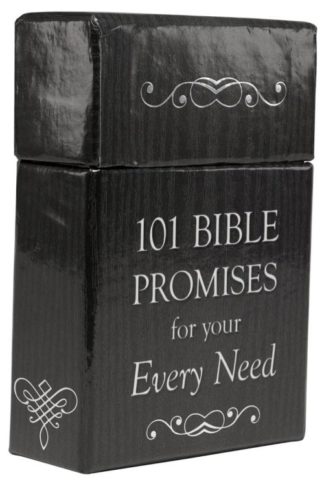 6006937115156 101 Bible Promises for Your Every Need