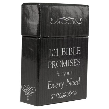 6006937115156 101 Bible Promises for Your Every Need