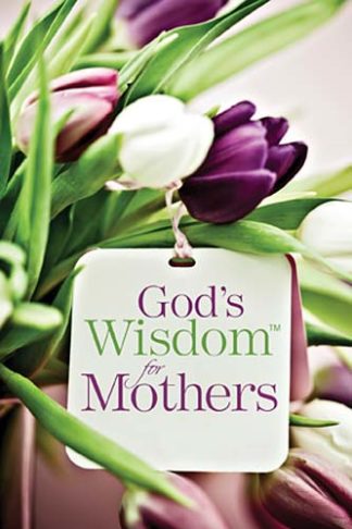 9781404189935 Gods Wisdom For Mothers