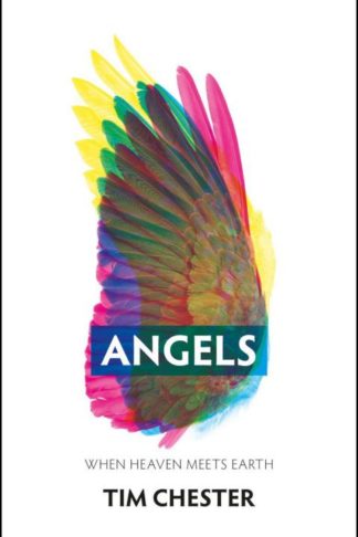 9781527108868 Angels : When Heaven Meets Earth