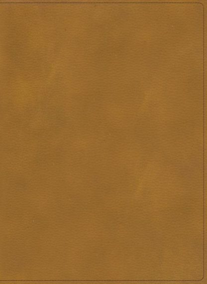 9781087788333 Holy Land Illustrated Bible