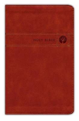 NIV Men's Devotional Bible, Comfort Print--soft leather-look, brown