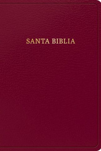 9781430082286 Hand Size Giant Print Bible