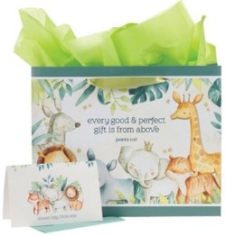 1220000322370 Large Landscape Scripture Gift Bag