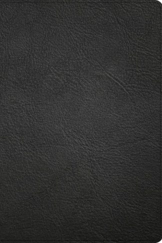 9781087782768 Large Print Thinline Bible