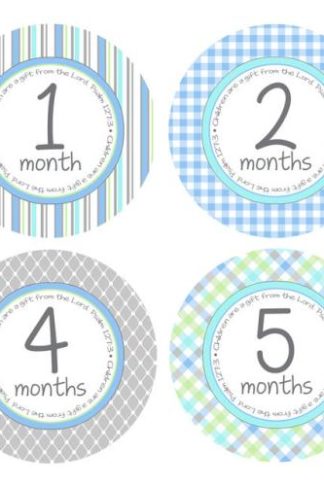 857818004436 Boy Month Stickers