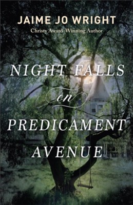 Night Falls on Predicament Avenue