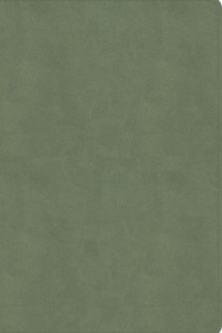 9781087774367 Every Day With Jesus Daily Bible