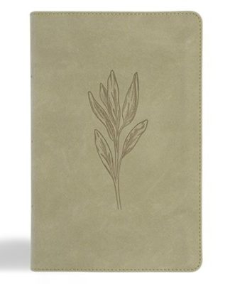 CSB Large Print Personal Size Reference Bible, Digital Study Edition - Sage