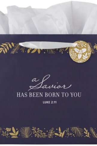 1220000327009 Large Landscape Inspirational Christmas Gift Bag