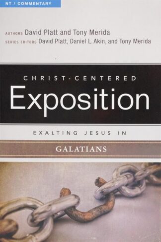 9780805496581 Exalting Jesus In Galatians