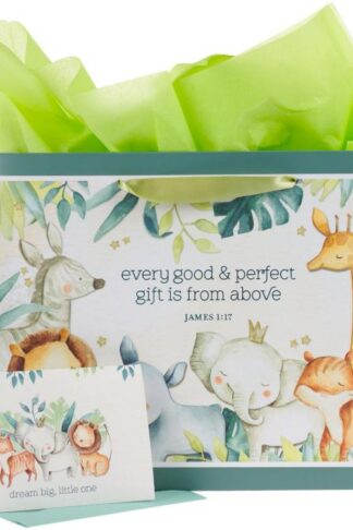 1220000322370 Large Landscape Scripture Gift Bag