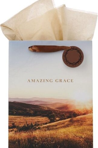 1220000328686 Large Portrait Inspirational Faith-inspired Gift Bag