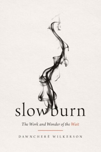9781400345519 Slow Burn : The Work And Wonder Of The Wait