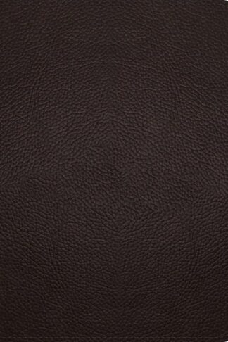 9781433587078 Study Bible Large Print