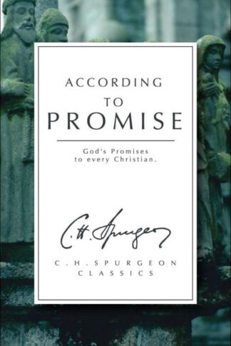 9781857922752 According To Promise