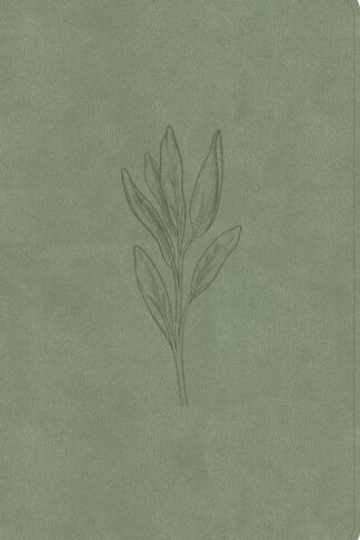 9798384533641 Thinline Bible