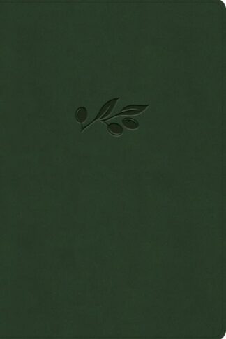 9798384533689 Giant Print Reference Bible