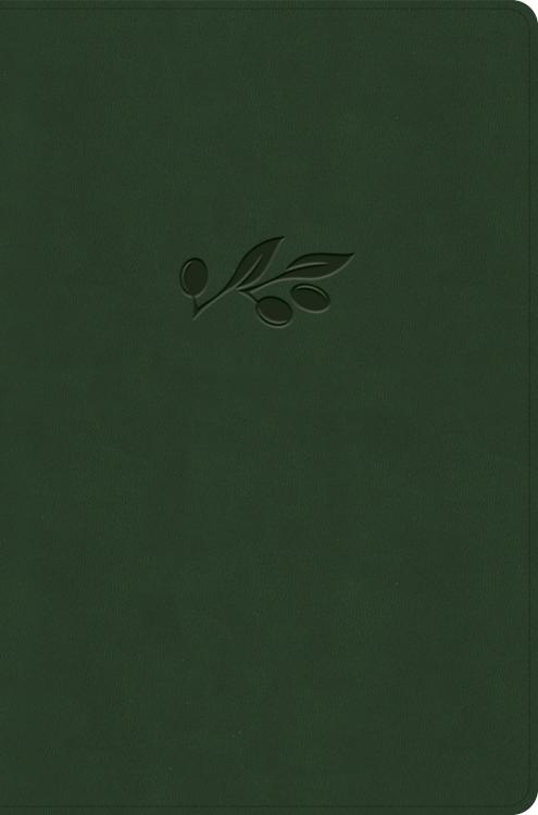 9798384533689 Giant Print Reference Bible