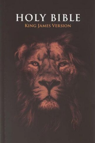 9798896780519 KJV Holy Bible