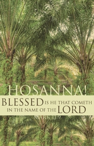 081407012513 Palm Sunday