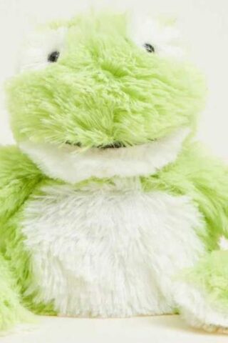 5060075680670 Warmies Frog Junior