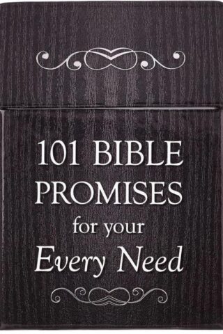 6006937115156 101 Bible Promises for Your Every Need