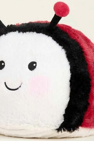 810158264304 Warmies Ladybug