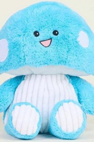 816018025344 Warmies Toadstool