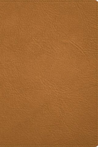 9781087774886 Deluxe Bible