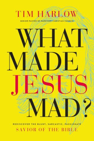 9781400208609 What Made Jesus Mad
