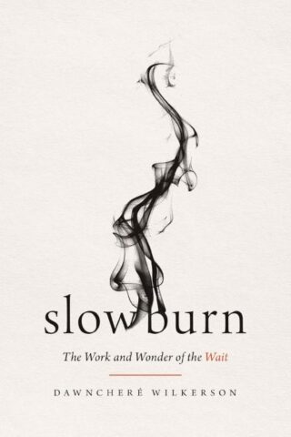9781400345519 Slow Burn : The Work And Wonder Of The Wait