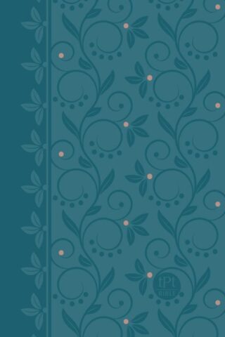 9781424561568 New Testament 2020 Edition Compact With Psalms Proverbs And Song Of Songs