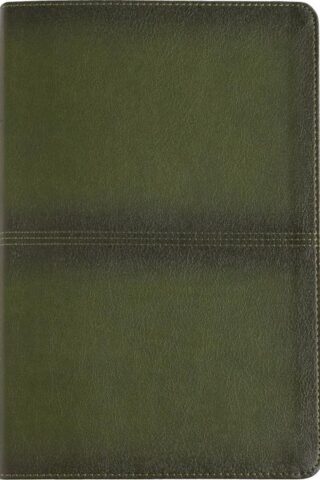 9781430094135 Mens Daily Bible