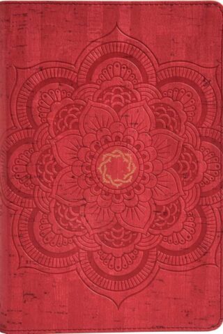 9781433648717 Essential Teen Study Bible