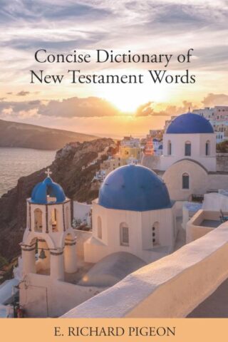 9781617156304 Concise Dictionary Of New Testament Words