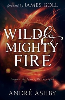 9781641230926 Wild And Mighty Fire
