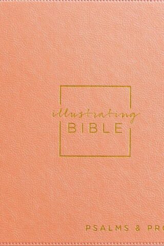 9781644548721 Illustrating Bible Books Of Psalms And Proverbs