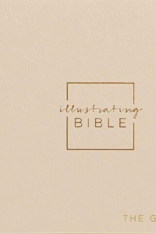 9781648702778 Illustrating Bible The Gospels