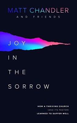 9781784984229 Joy In The Sorrow