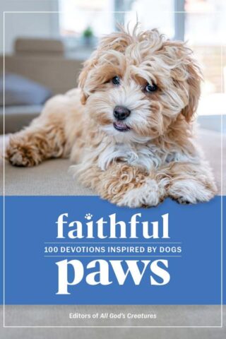 9781961442559 Faithful Paws : 100 Devotions Inspired By Dogs