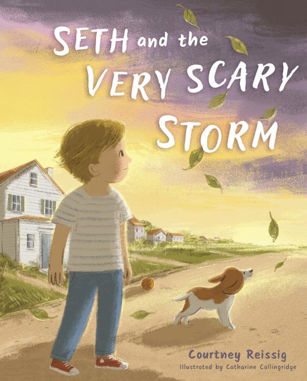 9798384529781 Seth And The Very Scary Storm