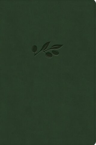 9798384533689 Giant Print Reference Bible