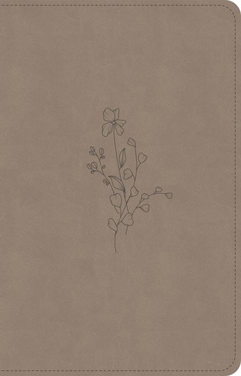 9798384540410 Personal Size Bible Digital Study Edition