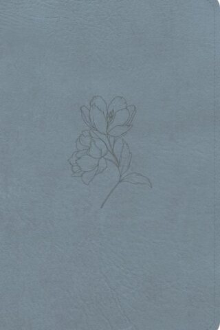 9798384540427 Personal Size Bible Digital Study Edition