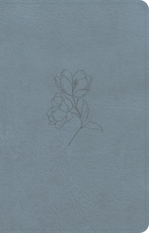 9798384540427 Personal Size Bible Digital Study Edition