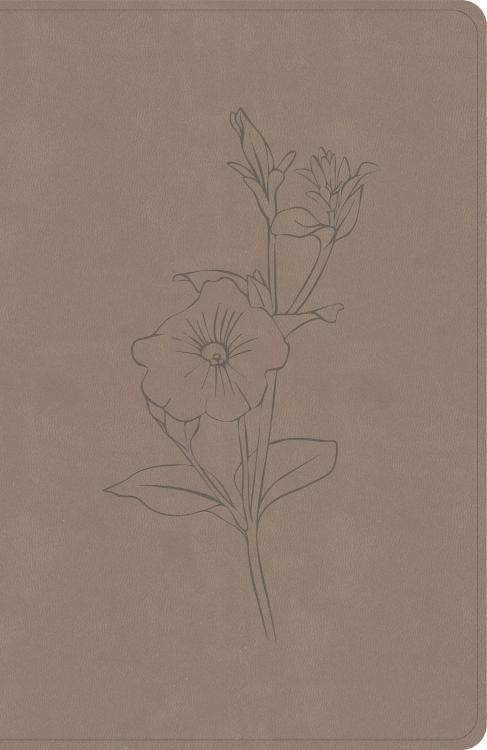 9798384540748 Personal Size Giant Print Bible Digital Study Edition