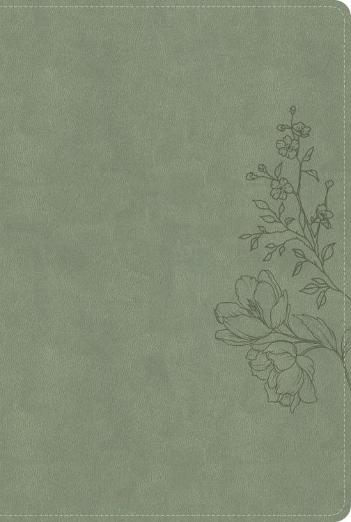 9798384540762 Large Print Thinline Bible Digital Study Edition